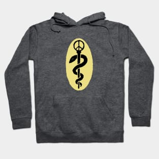 Famous New Age Healer Hoodie
